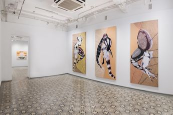 Contemporary art exhibition Radhika Khimji Adorning Shadows at Experimenter Ballygunge Place Kolkata India