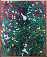 White Seed by Shi Guowei contemporary artwork drawing painting photography