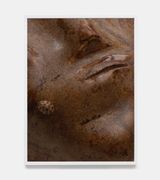 citizens orange ladybird by Paul Hutchinson contemporary artwork print