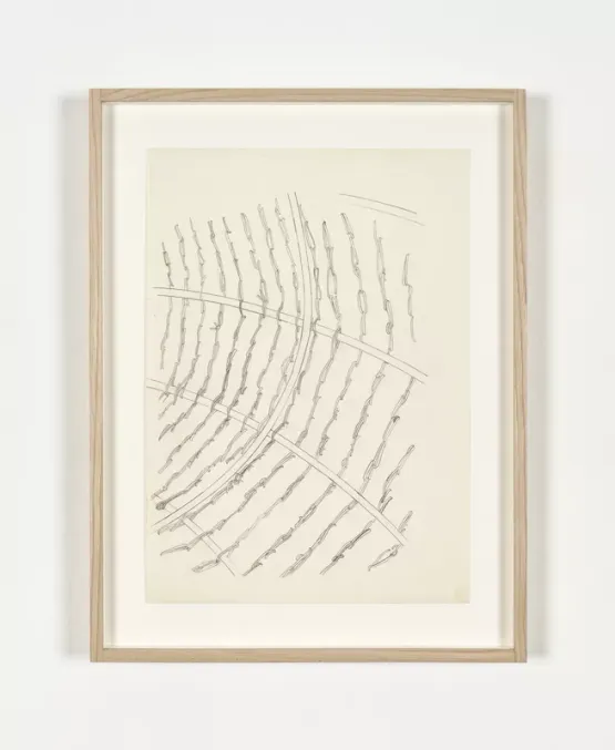 The Solemn Process Preparatory drawing for wire mesh for wheat by Ana Lupas contemporary artwork Works on Paper