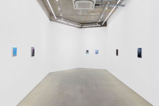 Contemporary art exhibition Paul P. The Fugitive Marvels of Sunset at Maureen Paley London United Kingdom