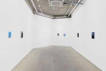 Contemporary art exhibition Paul P. The Fugitive Marvels of Sunset at Maureen Paley London United Kingdom