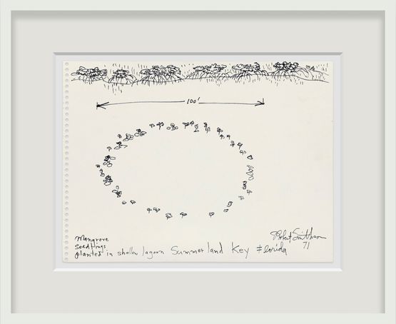 Mangrove Seedlings planted in shallow lagoon Summerland Key Florida by Robert Smithson contemporary artwork Painting