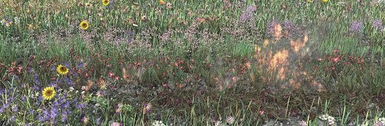 Renewal 2 by Jennifer Steinkamp contemporary artwork Moving Image
