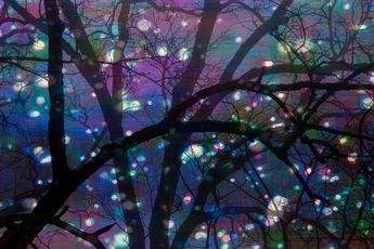 Tim Maguire contemporary artist