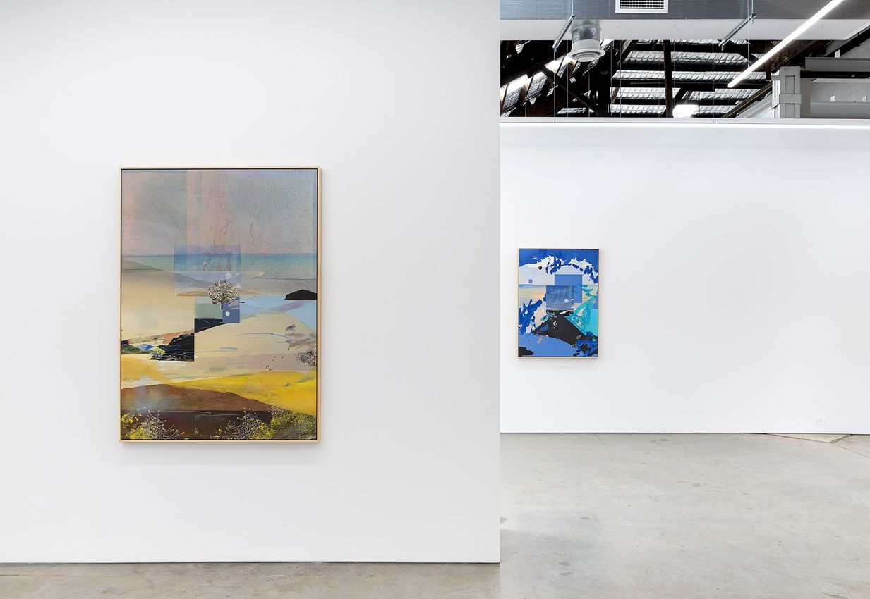 Petra Cortright