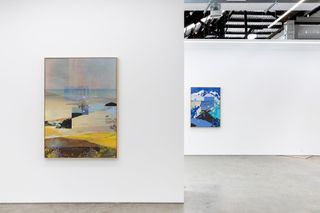 Contemporary art exhibition Petra Cortright shot silk wave star weep crush jet win at 1301SW Sydney Australia