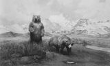 Alaskan Brown Bear by Hiroshi Sugimoto contemporary artwork photography