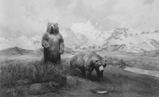 Alaskan Brown Bear by Hiroshi Sugimoto contemporary artwork Photography