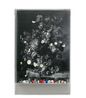 A Floral Rhapsody - 3D 2D Morph Emerge I by Jane Lee contemporary artwork Print