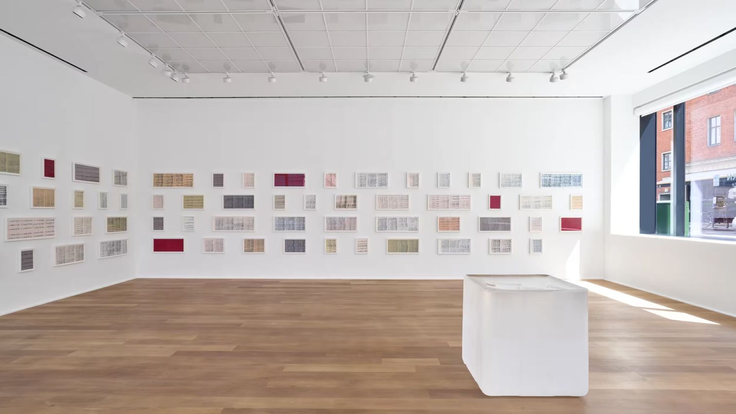Roni Horn