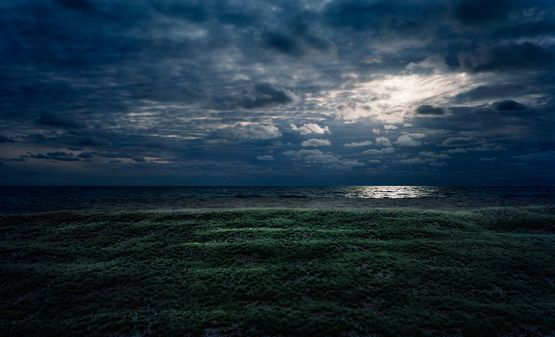 Beach Marsh at Night from the series Real Landscapes by Thomas Wrede contemporary artwork Photography