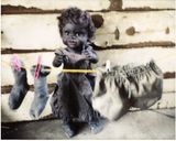 Hanging out too by Destiny Deacon contemporary artwork photography