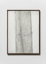 Diospyros lotus by Koo Hyunmo contemporary artwork drawing works on paper