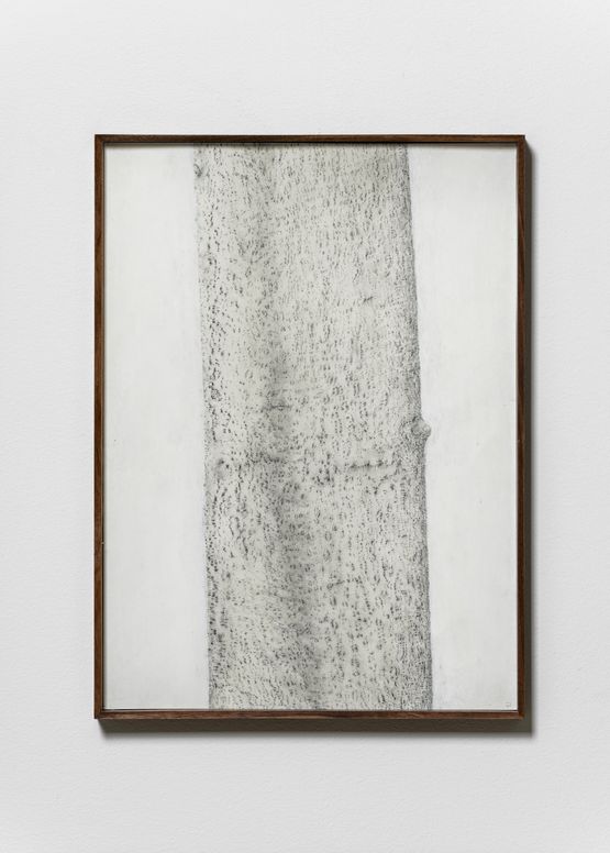 Diospyros lotus by Koo Hyunmo contemporary artwork Works on Paper