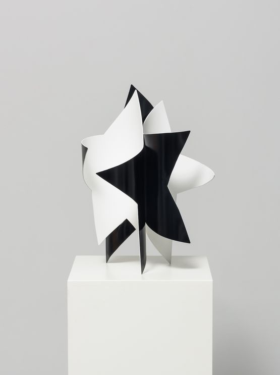 Dancing star black and white by Wonwoo Lee contemporary artwork Sculpture