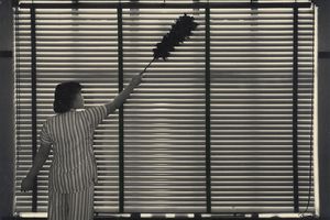 Fan Ho