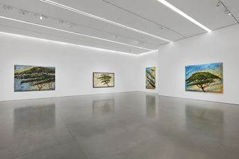 Contemporary art exhibition Julian Schnabel Italy Through Its Trees at Pace Gallery 540 West 25th Street New York United States