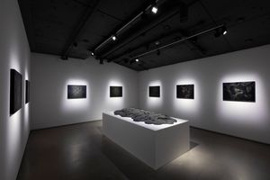 Kohei Nawa