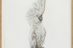 Svenja Schuffler contemporary artist