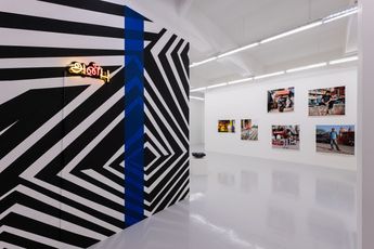 Contemporary art exhibition Group Exhibition the order of nature at Ames Yavuz Singapore