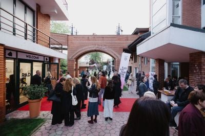 How Political Crisis Shapes Romanias Art Scene