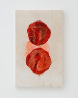 a pomegranate by Junko Oki contemporary artwork painting textile