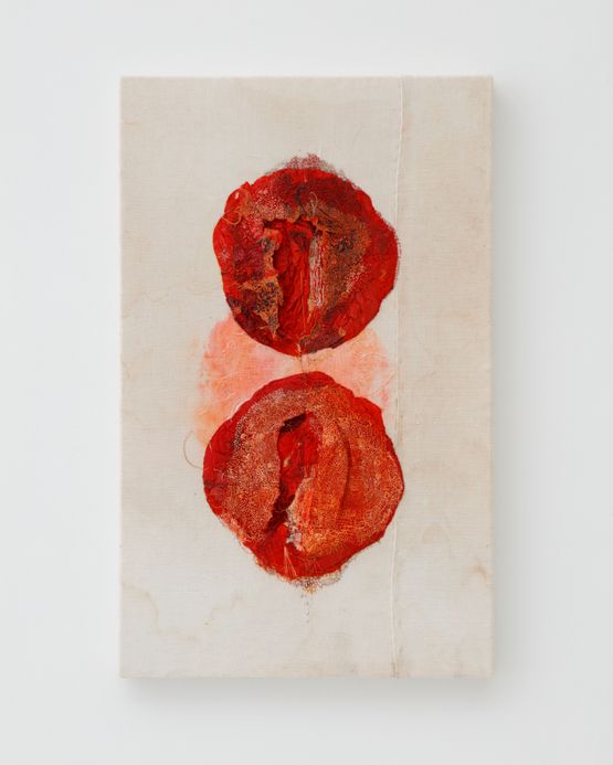 a pomegranate by Junko Oki contemporary artwork Painting