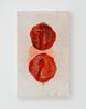 a pomegranate by Junko Oki contemporary artwork Painting