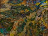 What would the world be once bereft of wet and wilderness Let them be left O let them be left wildness and wet Long live the weeds and the wilderness yet - G M Hopkins by John Wolseley contemporary artwork painting works on paper