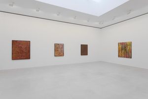 Emily Kame Kngwarreye