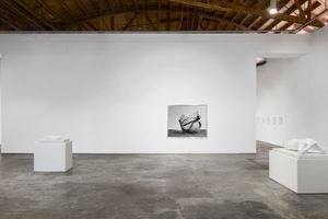 Reza Aramesh