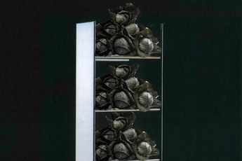 Contemporary art exhibition GIANGIACOMO ROSSETTI Cabbage Field at Greene Naftali New York United States