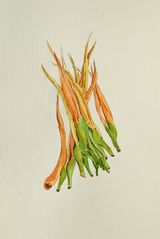 Kochu Phool by Rathin Barman contemporary artwork works on paper