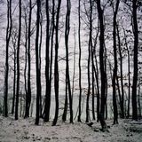 FullmoonBaltic Horizon by Darren Almond contemporary artwork print