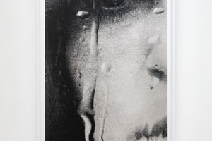 Anne Collier