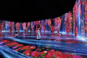 Superblue Miami contemporary art institution in Miami United States