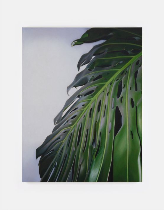 Monstera IV by Marcel Vidal contemporary artwork Painting