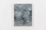 Carrie Yamaoka contemporary artist