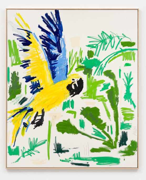 A LOOK A BIRD by Andi Fischer contemporary artwork Drawing