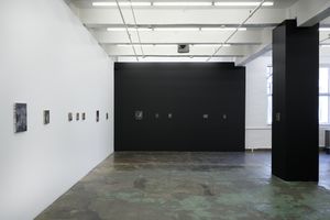 Janice Nowinski