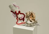 Illusory Armament by Caison Wang contemporary artwork design