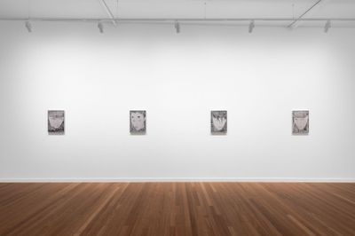 The Many Masks of David Noonan at Roslyn Oxley9 Gallery