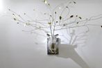 Maia Tabet contemporary artist