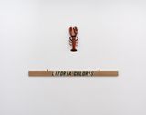 MY SHOES ARE PAINTINGS 20 FROG POEMS LITORIA CHLORIS by Robert Macpherson contemporary artwork sculpture