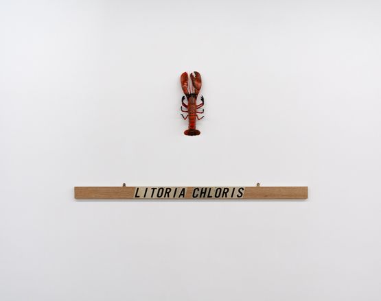MY SHOES ARE PAINTINGS 20 FROG POEMS LITORIA CHLORIS by Robert Macpherson contemporary artwork Sculpture