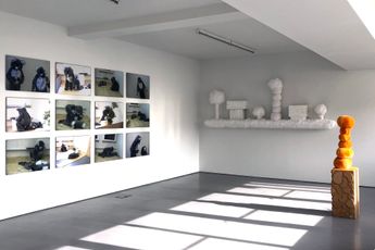 Contemporary art exhibition Kathy Temin Some History 19922010 at Hamish McKay Wellington New Zealand
