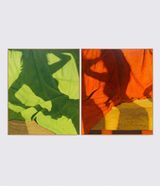 Doppelganger Diptych Part I  PartII by Jess Allen contemporary artwork painting