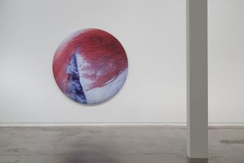 Contemporary art exhibition Elizabeth Thomson Lateral Theories at Two Rooms Auckland New Zealand