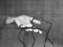 from the series one one two one two three rope I by Zeynep Kayan contemporary artwork Photography